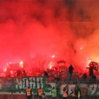 Furania-Photos (@furaniaphotos) 's Twitter Profile Photo