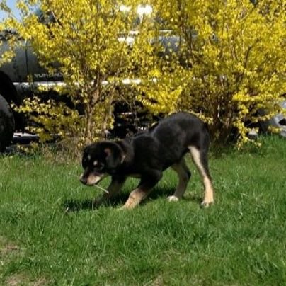 LoewNicholas's profile picture. Insert bio here.