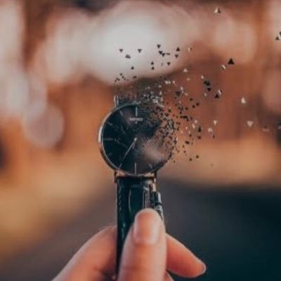 xogobi2040's profile picture. 