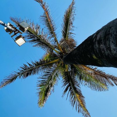 SnehB04's profile picture. .❤️.