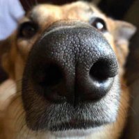 White Rabbit Dave (@whiterabbitdave) 's Twitter Profile