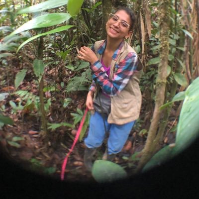 BSc in Biology | Entomology lover, Fascinated by weevils and pollination ecology | plant-insect interaction. #WomenInSTEM. #LatinInSTEM