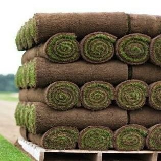 Suffolk Premier Turf, delivering excellence. Lawn supply services available. DM us to book your delivery.