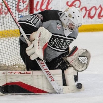 Hockey Goaltender