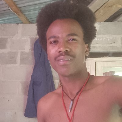 Sphelele1375841's profile picture. 