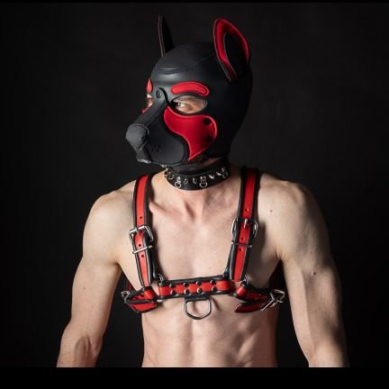 NSFW 🔞 Only over 18+ | Pup looking for a bf, geek, he/him, 🏳️‍🌈, acting silly, making friends