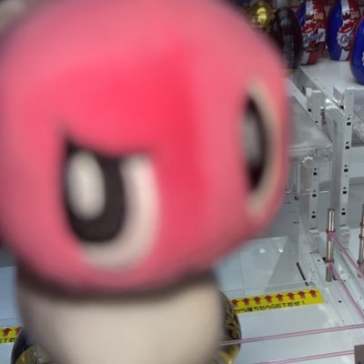梅酒さんのプロフィール画像