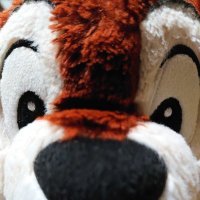 チップップ (@cpyke45malqhugp) 's Twitter Profile