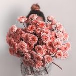 rose_rosecat's profile picture. 🌹バラ🌹が大好きな会社員/花屋🌷植物園🌴森林浴🌲🌳巡りが趣味🌼🌻/スイーツ好き🍰🍩🍨/当選報告は感謝の気持ちを込めて❤/無言フォロー大歓迎🫶🏻💕 #懸賞仲間さん募集中 #roseの幸せ当選報告