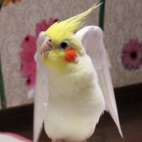 mariaya (@mariaya16) 's Twitter Profile Photo mariaya (@mariaya16) 's Twitter Profile Photo