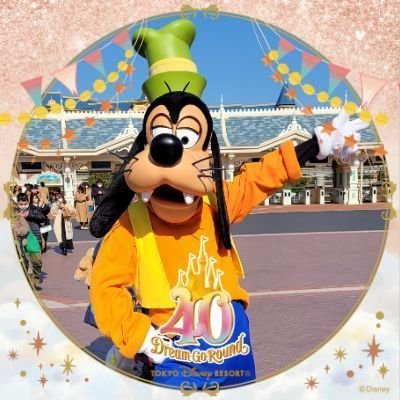 ディズニーと、グーフィーが大好きな５０過ぎのおばさんです😃無言フォローすいません🙏