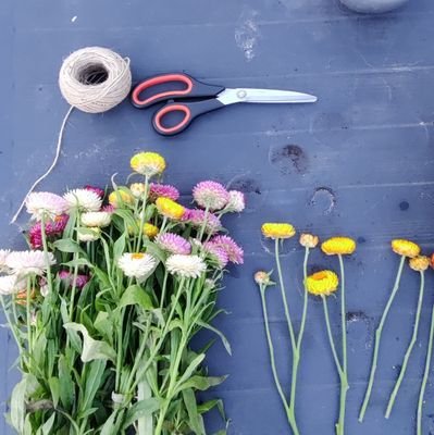 Regeneratieve miniboerderij in Merchtem. Verse groenten en bloemen recht van het veld! 💐🥕🧑‍🌾