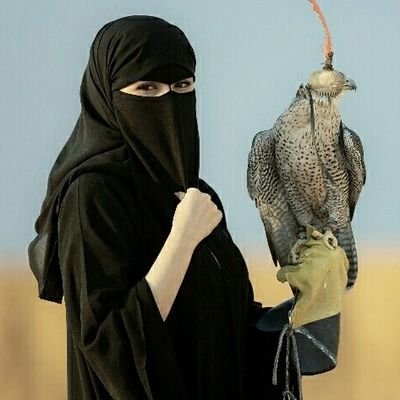ماجيت ادور علاقات سعت صدر بس 0 حسابي الاحتياط لاول معلق اعتذر عن المايك والخاص سامحوني مهجنه بين البداوه والحظاره