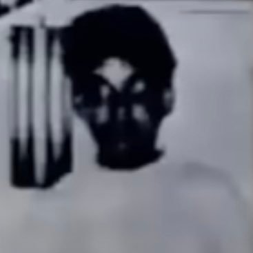 fpfp2913's profile picture. IM💙🖤 #BleedGreen☘️ #FinsUp🐬