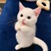 Anne Guan (@kippy198) Twitter profile photo Anne Guan (@kippy198) Twitter profile photo
