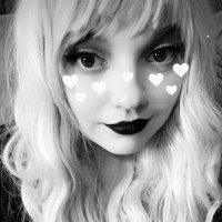 Niki Dahl (@nikidahlauthor) 's Twitter Profile