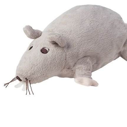 🔞🐀Your local IKEA ratさんのプロフィール画像