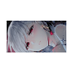 . ݁ 𓂃 ✦ 𝐇𝐈𝐌𝐁𝐎𝐃𝐄𝐕𝐀 。 (@kusumashara) Twitter profile photo . ݁ 𓂃 ✦ 𝐇𝐈𝐌𝐁𝐎𝐃𝐄𝐕𝐀 。 (@kusumashara) Twitter profile photo
