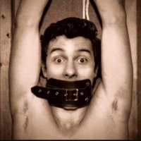 TheTickler 🪶 (@laughextractor) 's Twitter Profile Photo TheTickler 🪶 (@laughextractor) 's Twitter Profile Photo