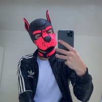Archie (@puparchie19) 's Twitter Profile Photo Archie (@puparchie19) 's Twitter Profile Photo