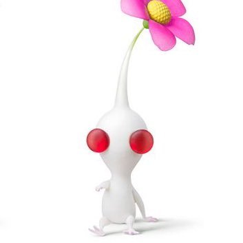 I am White Pikmin and in love with Purple Pikmin. Step-Son of Jesse Pinkmin.