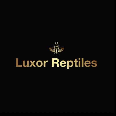 Luxorreptiles Profile