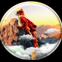 +Wild World of Dragons (@amandasdragons) 's Twitter Profile