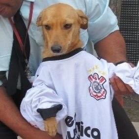 eu fiz do Corinthians minha vida e o Corinthians fez da minha vida um inferno 🦅