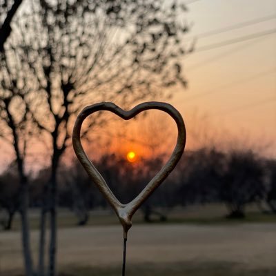 fatemeh7485's profile picture. قلب منی ♥️ S