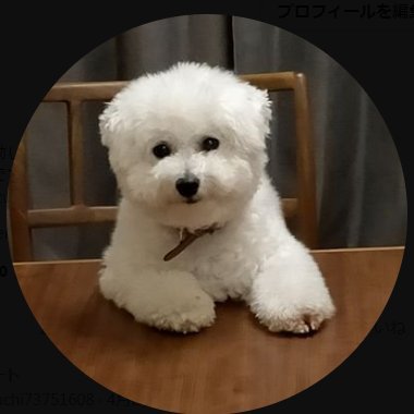 kazuchiさんのプロフィール画像