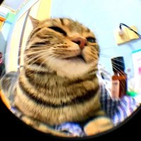 G3Br3@ (@gabrielreyes555) 's Twitter Profile