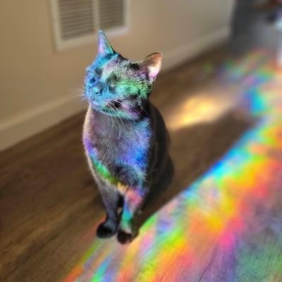 laetizia_vital's profile picture. 