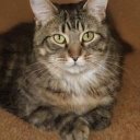 Johnson Linda - @JohnsonLin69689 - Twitter