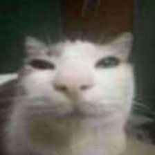 Anonymo97544691's profile picture. 