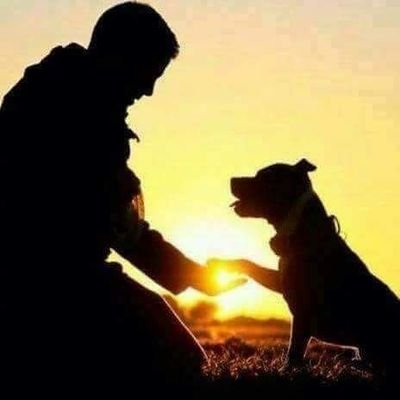 ___QuIrOgA___'s profile picture. Sigan su sueño, no teman que los crean locos.Los cuerdos no hicieron el Éxodo, ni caminaron sobre aguas, ni escribieron El Quijote, ni descubrieron América.