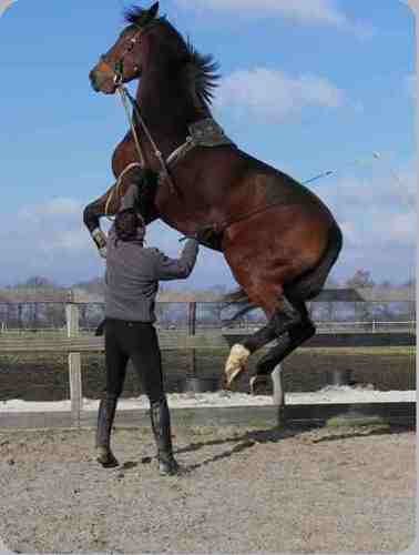 Equiscio NCSAH