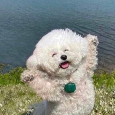 mdernlife's profile picture. yeah, you bleed just to know, you're alive