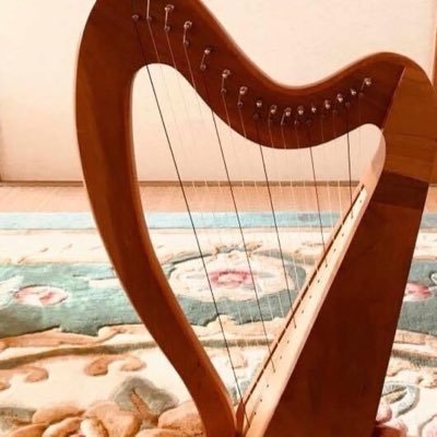 北欧音楽とアイリッシュ音楽の世界の片隅にいる人。リコーダー、アイリッシュフルート、カンテレ、アイリッシュハープ、ほんの少しだけコンサーティーナ