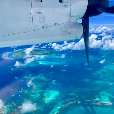 amami_isl_taro's profile picture. 