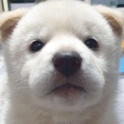 jiwongongju_'s profile picture. hi welcome to my journal where you get to discover my mental illnesses one by one