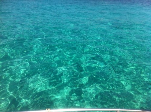 NeusFerriol's profile picture. 