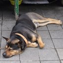 Kenji lee - @Kenjilee33 - Twitter