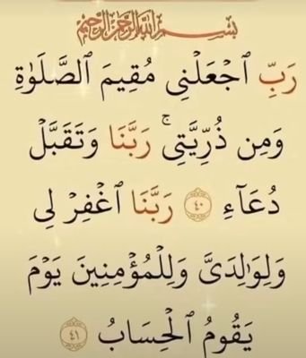 z20662's profile picture. كن صاحبا للطيب رهب الاعداء/هاوي على مر الايام من حلاها