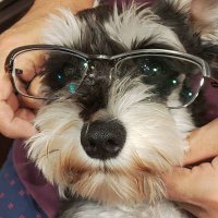 チトマル🐤 (@citomaru) 's Twitter Profile Photo