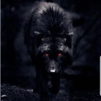 TSX(V) Wolf ๐จ๐ฆ (@bst88064119) 's Twitter Profile Photo TSX(V) Wolf ๐จ๐ฆ (@bst88064119) 's Twitter Profile Photo