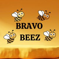 Bravo Beez (@bravobeez) 's Twitter Profile Photo Bravo Beez (@bravobeez) 's Twitter Profile Photo