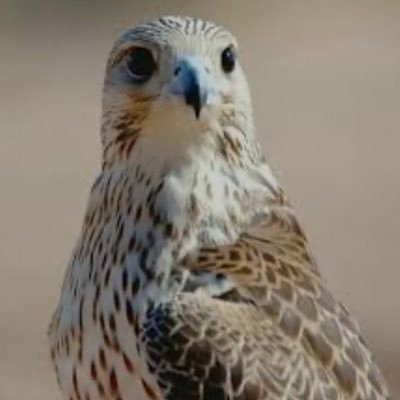 z8lpp's profile picture. 