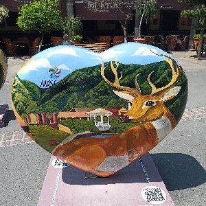 LeoGallo222346's profile image
