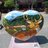 LeoGallo222346's profile image