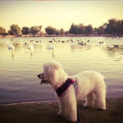 SanelyCurious's profile picture. 